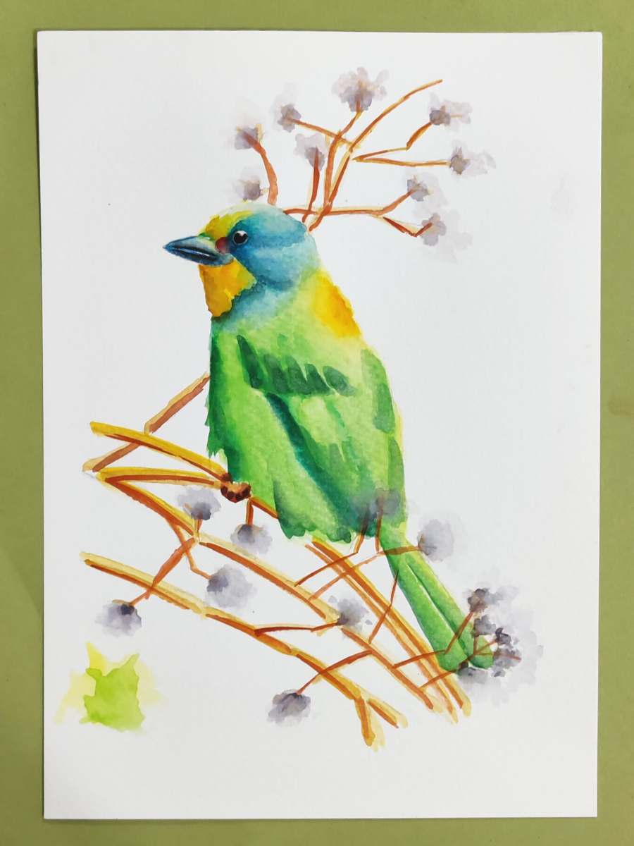 Mastering Watercolour Painting