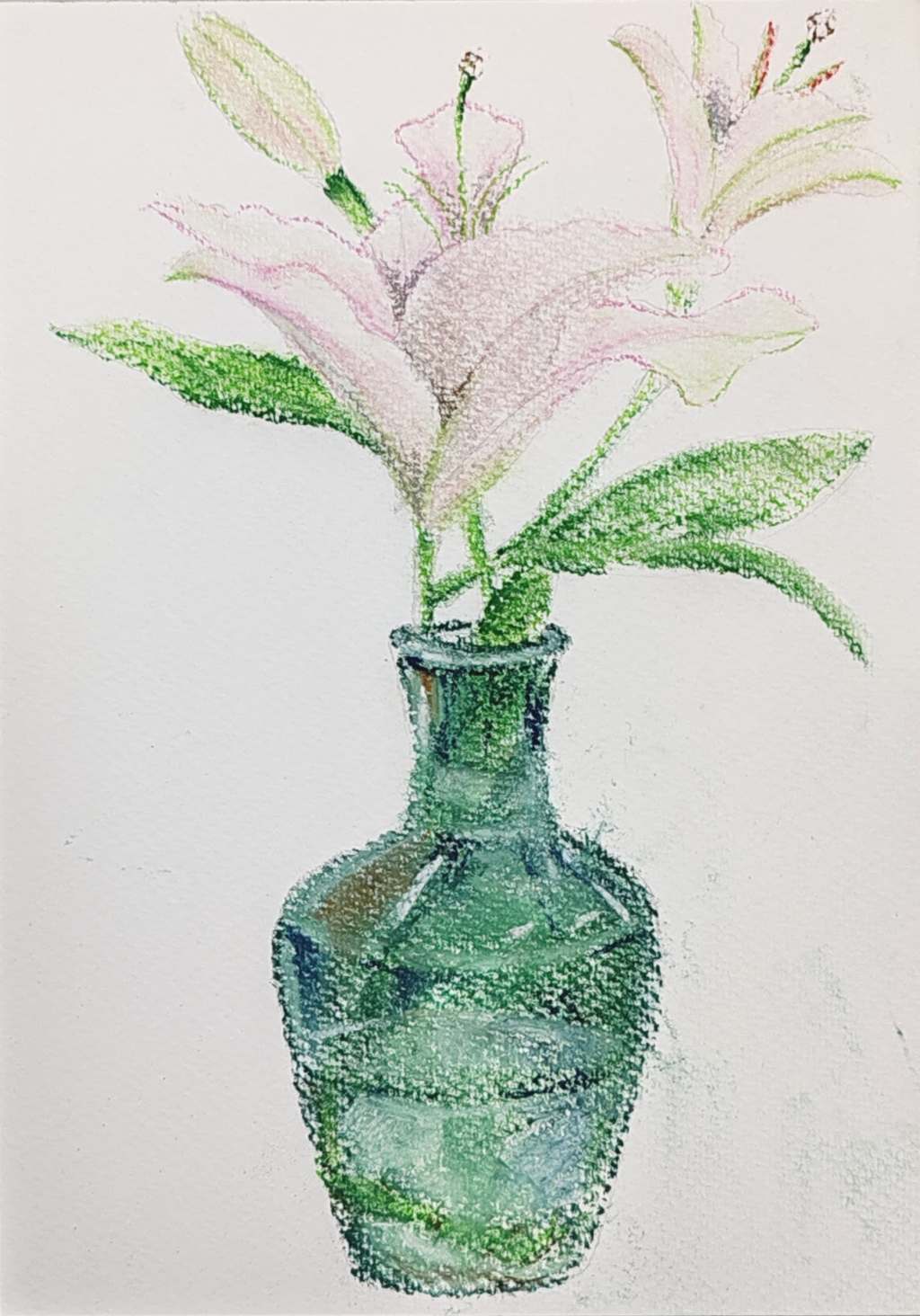 Fragrant Lilies Pastel&nbsp;Sketch